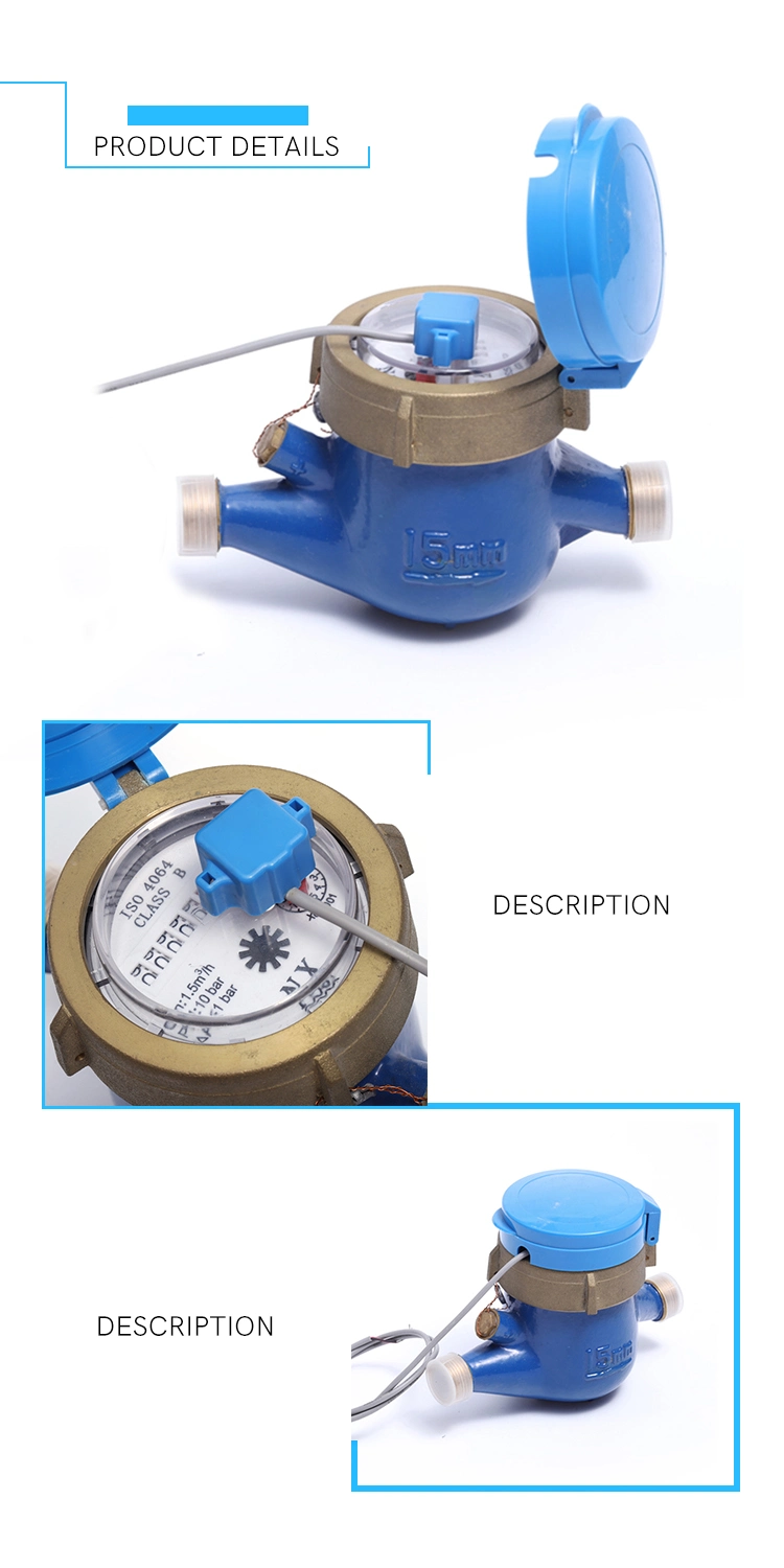 R100 Multi Jet Dry Type Water Meter with Output Pulse (NX-5)