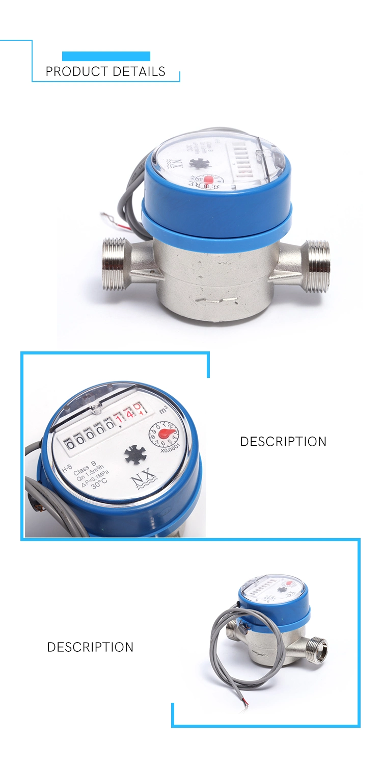 R100 Single Jet Dry Typ Water Meter with Output Pulse (13D-1)