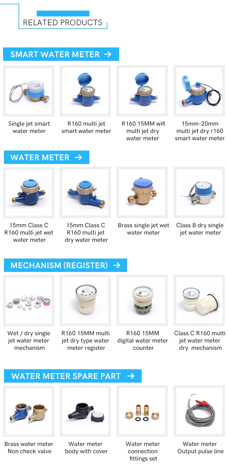 R100 Single Jet Dry Typ Water Meter with Output Pulse (13D-1)