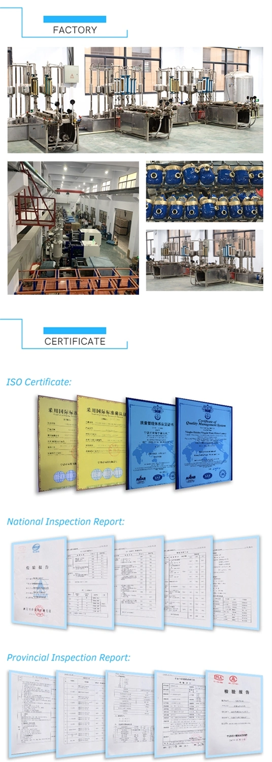 R160 Single Jet Dry Type Water Meter with Output Pulse (13D-7)