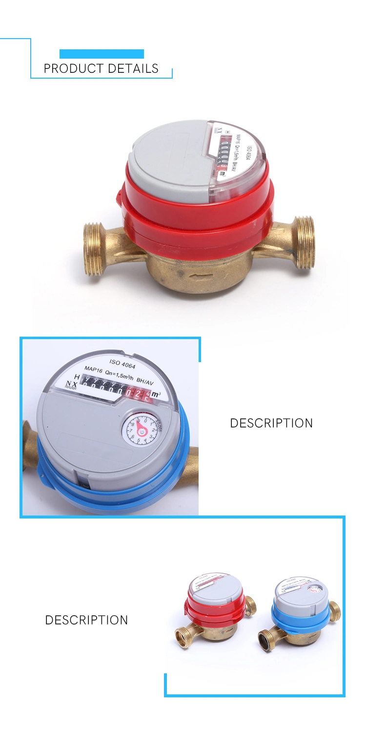 R100 Single Jet Dry Type Water Meter with AMR (13D-9)