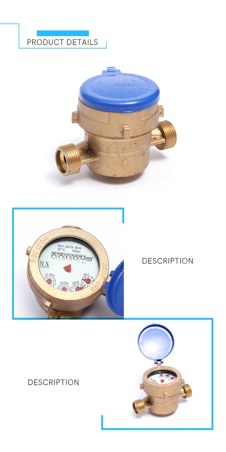 R100 Single Jet Wet Type Water Meter (13D-11)