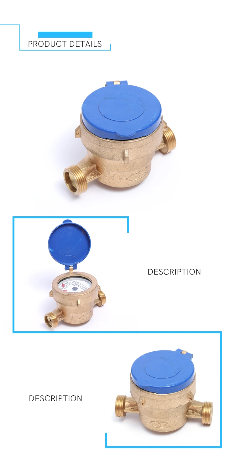 R100 Single Jet Wet Type Water Meter (13D-11)